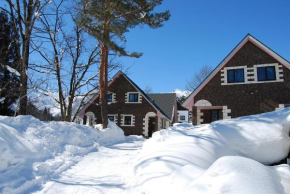 Отель Alpine Chalets Hakuba, Хакуба